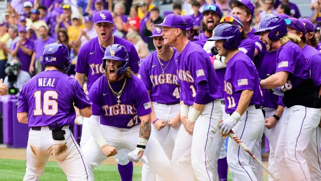 baseball shop 15 baseball shop -baseball shop i